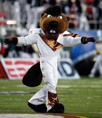 Mascot Mania: Collegiate Beaver Mascots as Cultural Icons